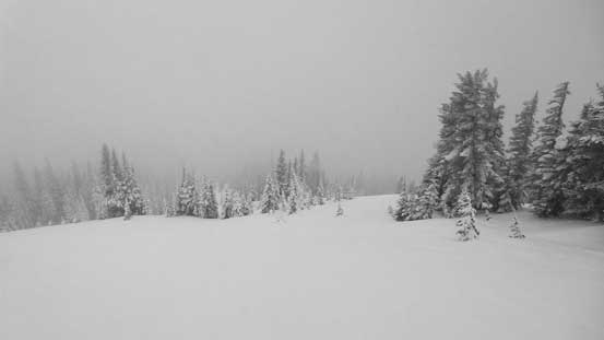 Looking down at a potential great run