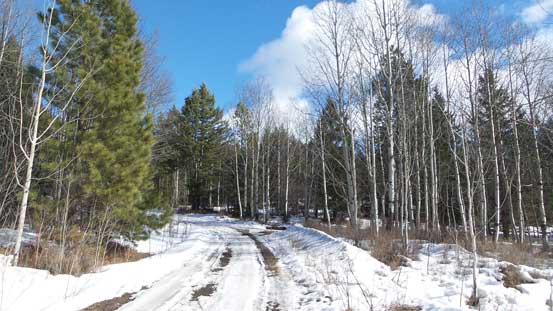 This is the start of Iron Mountain Road