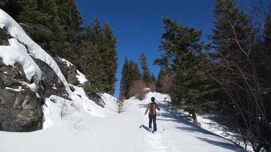 Higher up on Iron Mountain Road