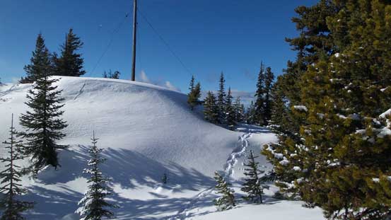 Wondering around for more views...