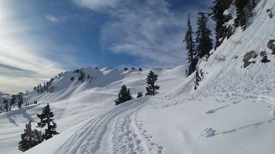 Skinning up the road following a very well set of tracks