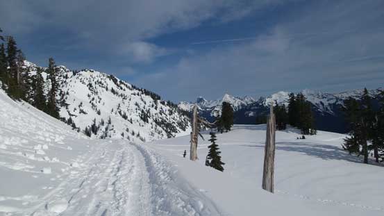 Looking back along the road plod