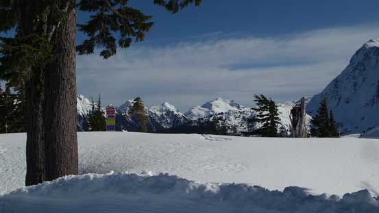 A neat view beside a tree trunk