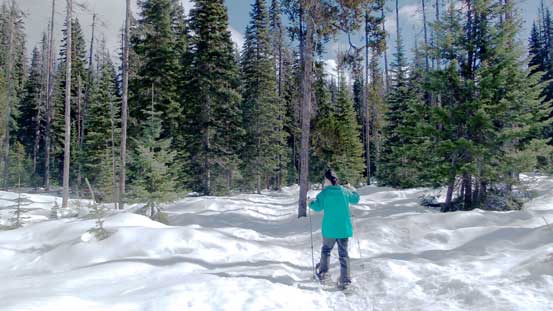 The initial plod along Windy Joe trail