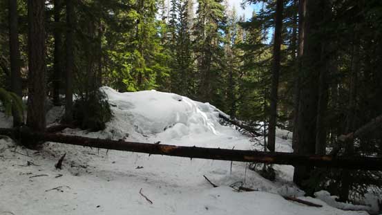 Lots of dead-falls...