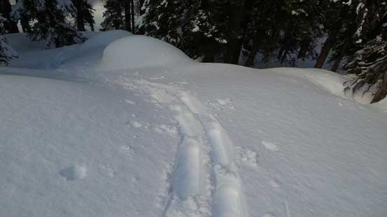 Heavy duty trail-breaking