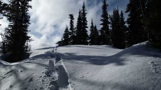 Near the true summit