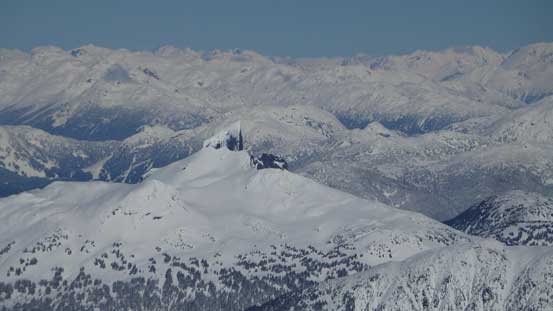 The Black Tusk in the foreground