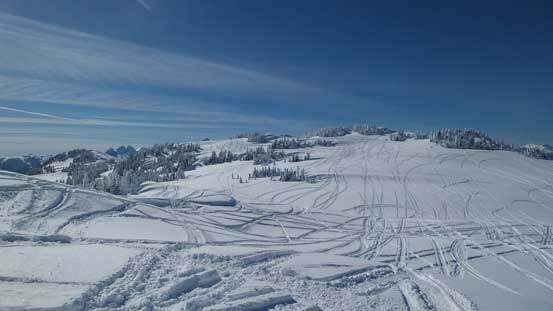 Lots and lots of snowmobile activity on Brohm Ridge