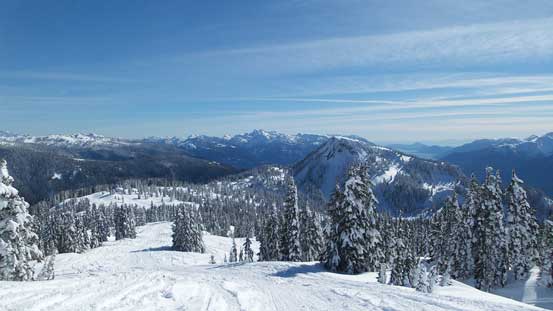 Finally could ripe off the skins... 