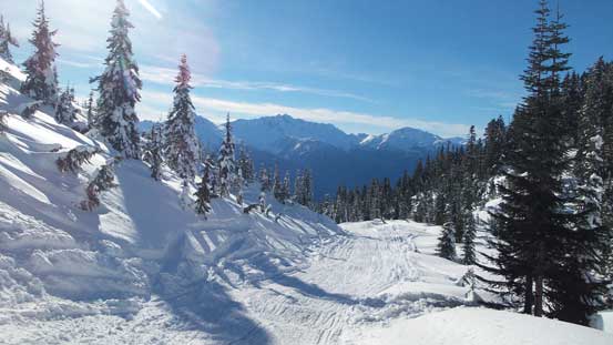 Skiing down the road.. 