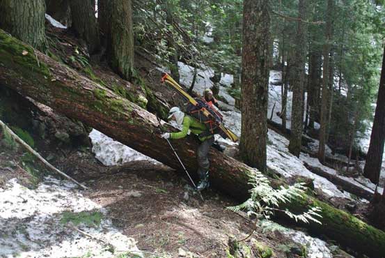 Me hopping over the log. Photo by Alex