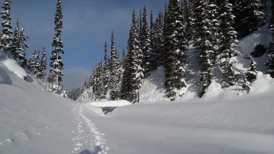 The start of Garibaldi Lake crossing - the largest lake I've ever crossed to date...