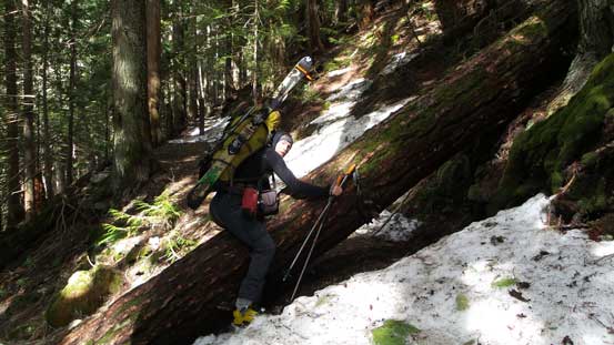 This is our last obstacle before rejoining the trail.