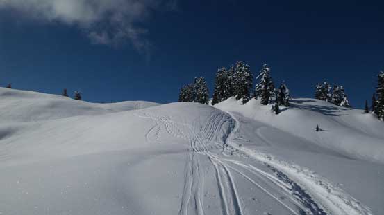 Descending quite a bit down towards Elfin Shelter