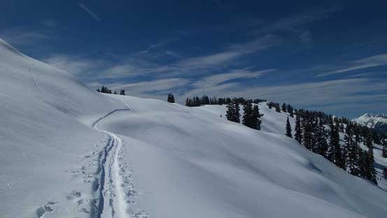 We took a short-cut here to bypass one of the many bumps along Paul Ridge