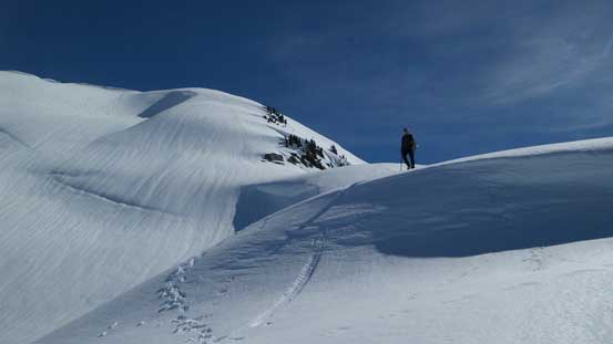 Typical, typical on the ridge