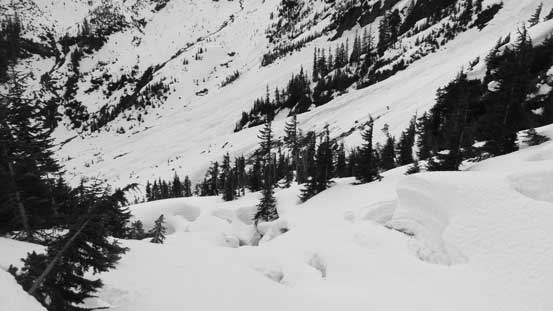 Had to lose elevation all the way down there