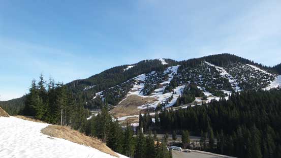 A view of the lower slopes of Mt. Strachan