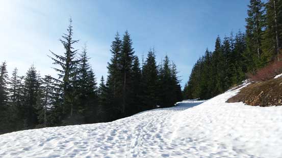 This branch leads to nowhere as we soon discovered.