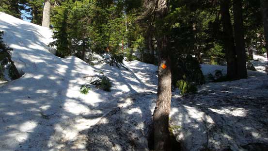 Picking up the marked (but icy) trail