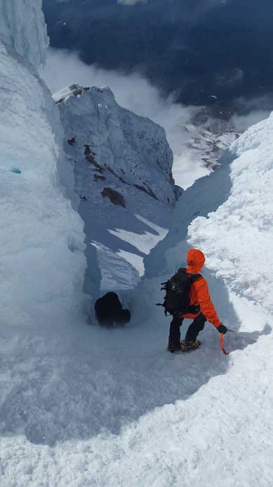 Back through Pearly Gate