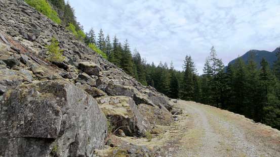 One section of the trail was following this deactivated quad road
