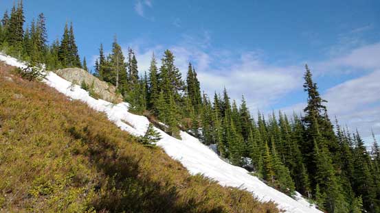 Patchy snow here and there... 