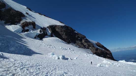 Looking back at the D. Cleaver