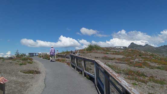 The summit of Johnston Ridge