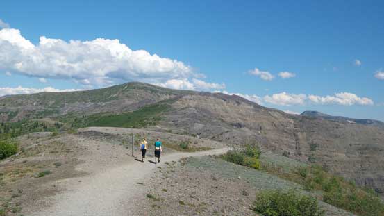 Hiking along Boundary Trail. Harry's Ridge in the background