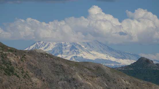 Could see the distant Mt. Adams