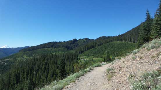 Looking back from the first section. Mt. Archibald is that forested bump at center