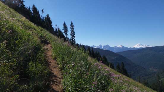 The trail switchbacks steeply up.