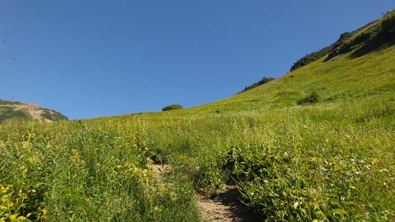 The trail traverses some neat alpine meadows