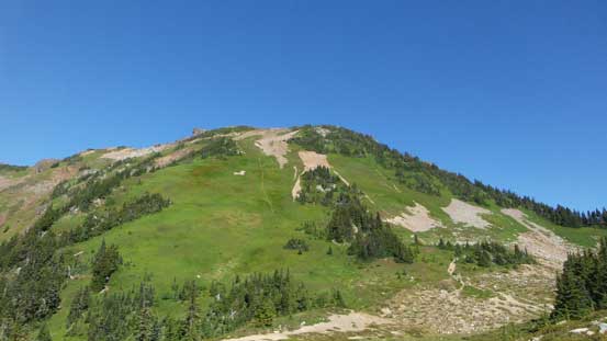 The south-east slopes of Cheam Peak. Almost to the col now