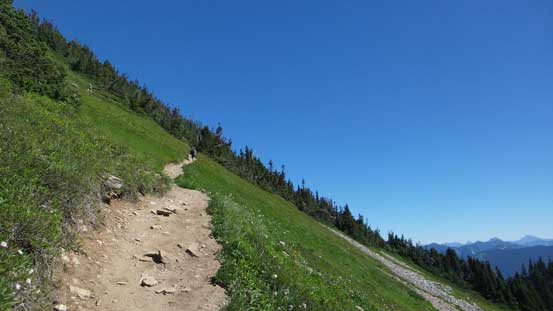 Following the trail up.