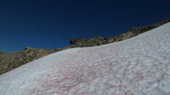 Ascending the snowfield