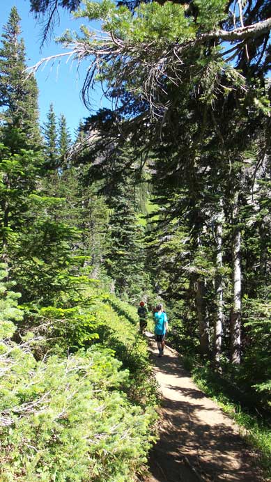 Hiking down the trail