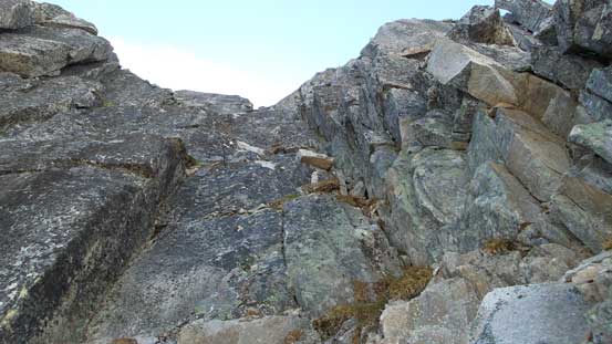 Starting the gully game.