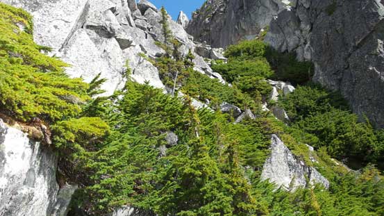 The ugly krummholz section