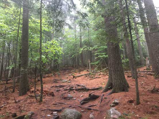 It's pretty mellow at the start