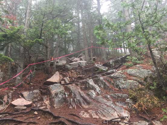 Sections of the trail was even aided by ropes