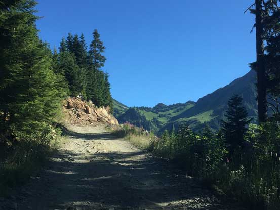 Almost done the logging road drive. It was mentally tiring...