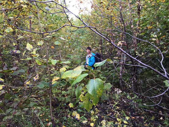 Me going into the alders... 