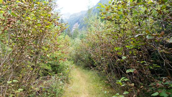 Down to the overgrown spur road now