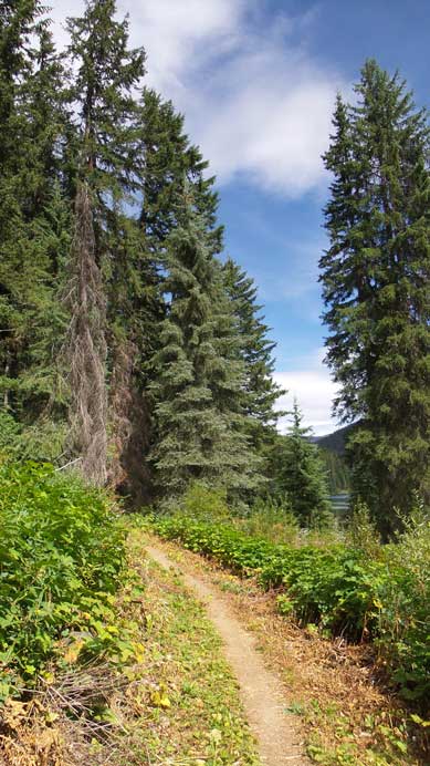 The trail passing Lightning Lake