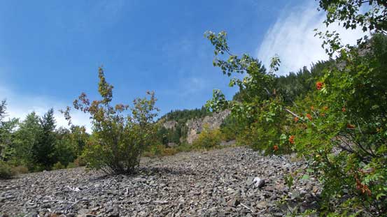 The slopes dropping from Lone Goat Mountain
