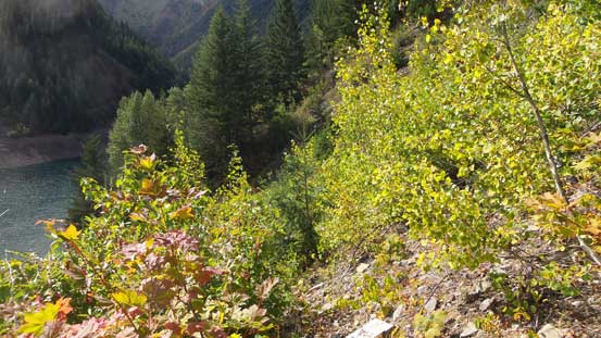 The trail was somewhere there, but hard to follow