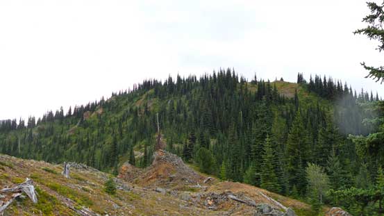 The next section is harder than it looked. 